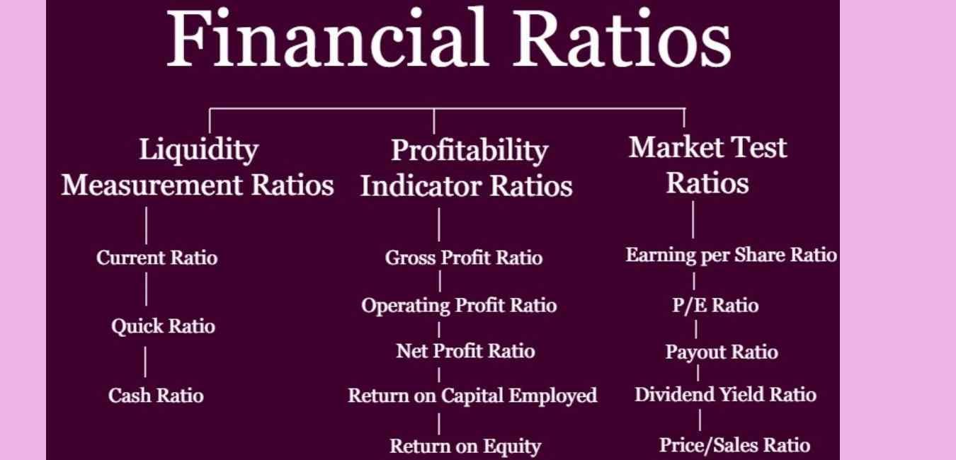 financial ratios