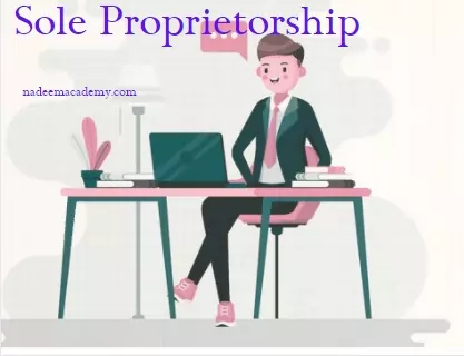 Sole Proprietorship Examples